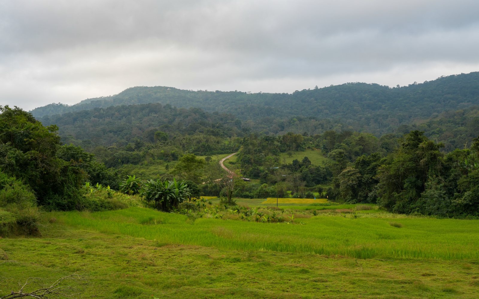 Madikeri (Coorg)