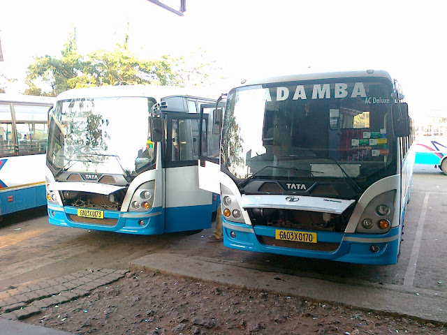 Mini Bus